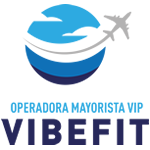 vipvibefit.com.mx